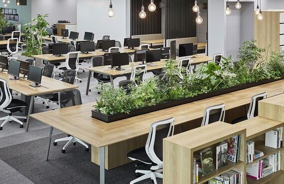 テレワークより捗るオフィス空間| 観葉植物のリースなら植栽で空間デザインのmegrass