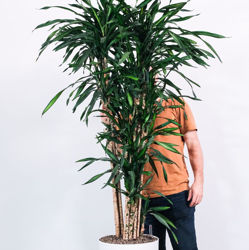 feey-jBhjC-JIxF8-unsplash