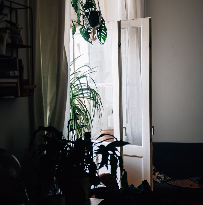 white-doors-and-curtains-let-in-light-for-houseplants_R